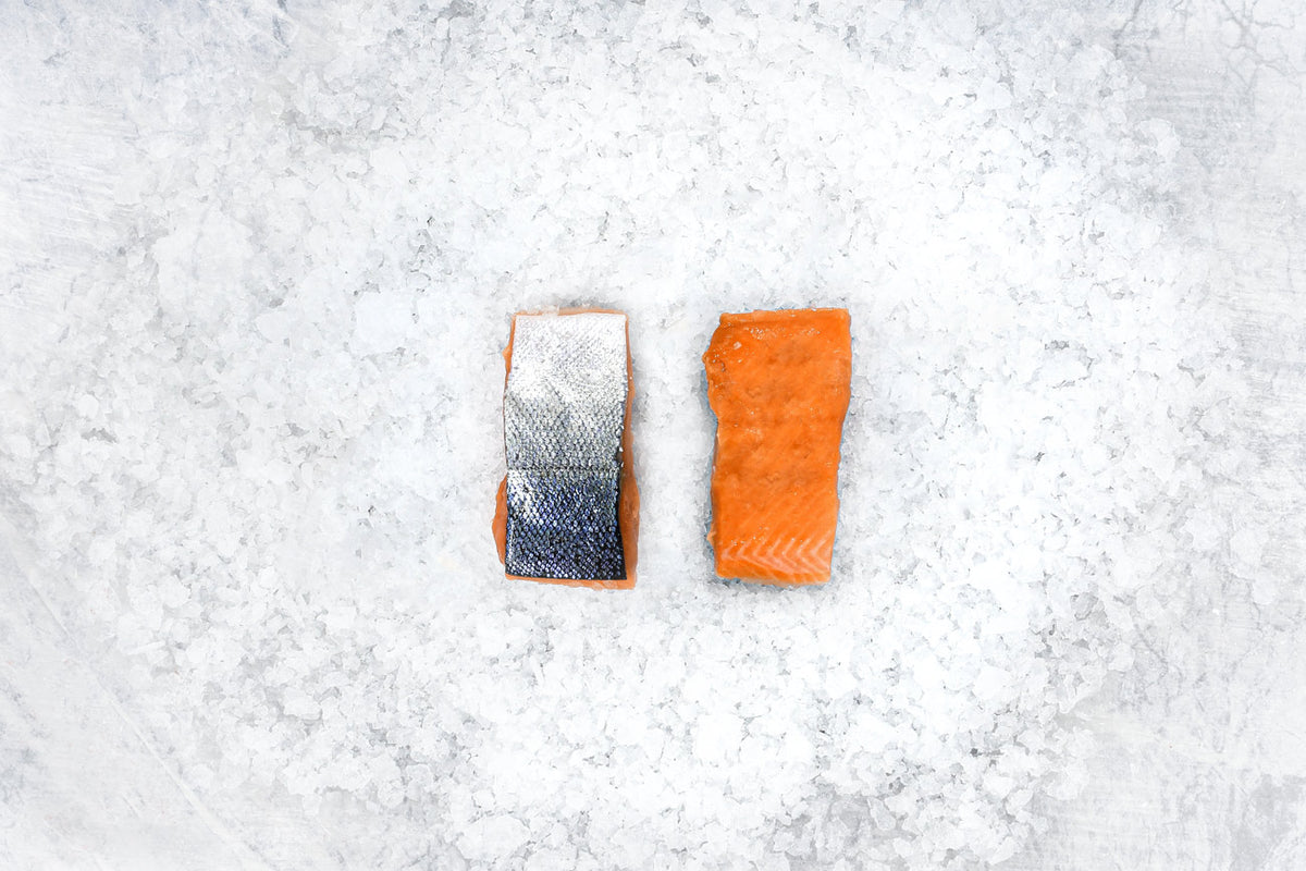 10 Wild Coho Salmon Portions (6oz. Each)